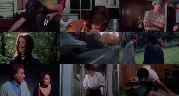 魔屋/杀人不分左右 The.Last.House.on.the.Left.1972.UNRATED.REMASTERED.1080p.BluRay.x264-SPOOKS 5.47GB-2.jpg