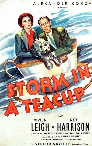 茶杯里的风暴 Storm.in.a.Teacup.1937.720p.BluRay.x264-SADPANDA 3.27GB-1.jpg