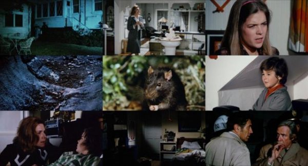 大危机/鼠王 Ben.1972.1080p.BluRay.x264-REGRET 6.56GB-2.jpg