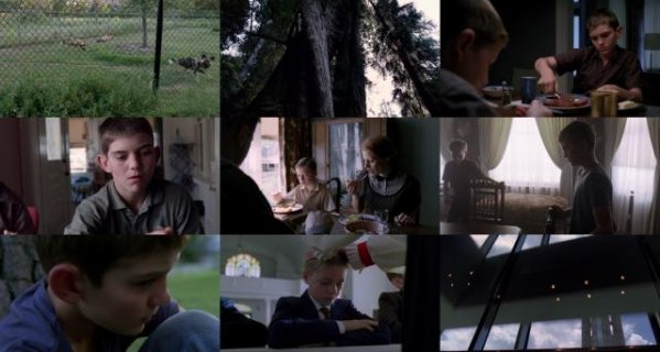 生命之树/生命树 The.Tree.of.Life.2011.EXTENDED.720p.BluRay.X264-AMIABLE 7.66GB-2.jpg