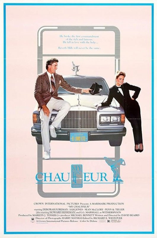 我的司机 My.Chauffeur.1986.1080p.BluRay.REMUX.AVC.DTS-HD.MA.1.0-FGT 25.85GB-1.jpg