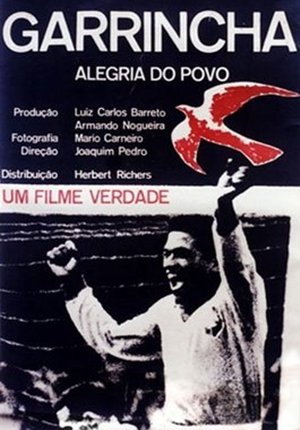 加林查 Garrincha.Hero.of.the.Jungle.1963.720p.BluRay.x264-BiPOLAR 2.65GB-1.jpg