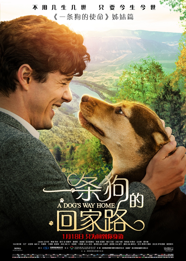 一条狗的回家路 A.Dogs.Way.Home.2019.720p.BluRay.x264.DTS-MT  4.42GB-1.jpg