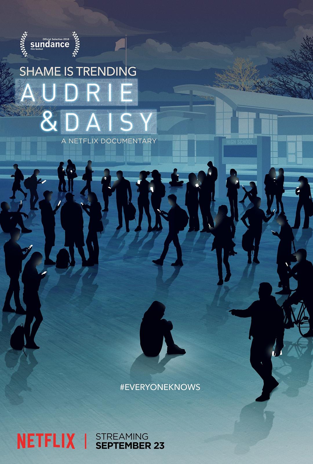 奥德里与戴茜 Audrie.and.Daisy.2016.1080p.WEBRip.X264-DEFLATE 10.56GB-1.png