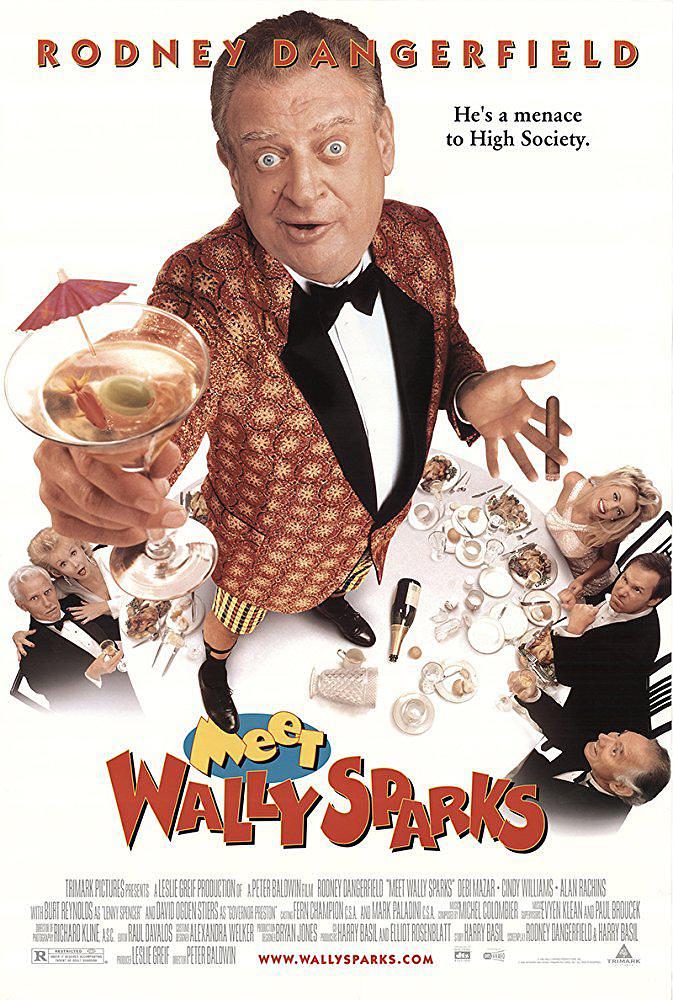 碰见沃里.斯帕克 Meet.Wally.Sparks.1997.1080p.WEBRip.x264-RARBG 2.01GB-1.png