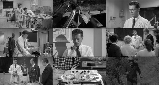 校园怪物 Monster.on.the.Campus.1958.1080p.BluRay.x264-WiSDOM 5.47GB-2.png