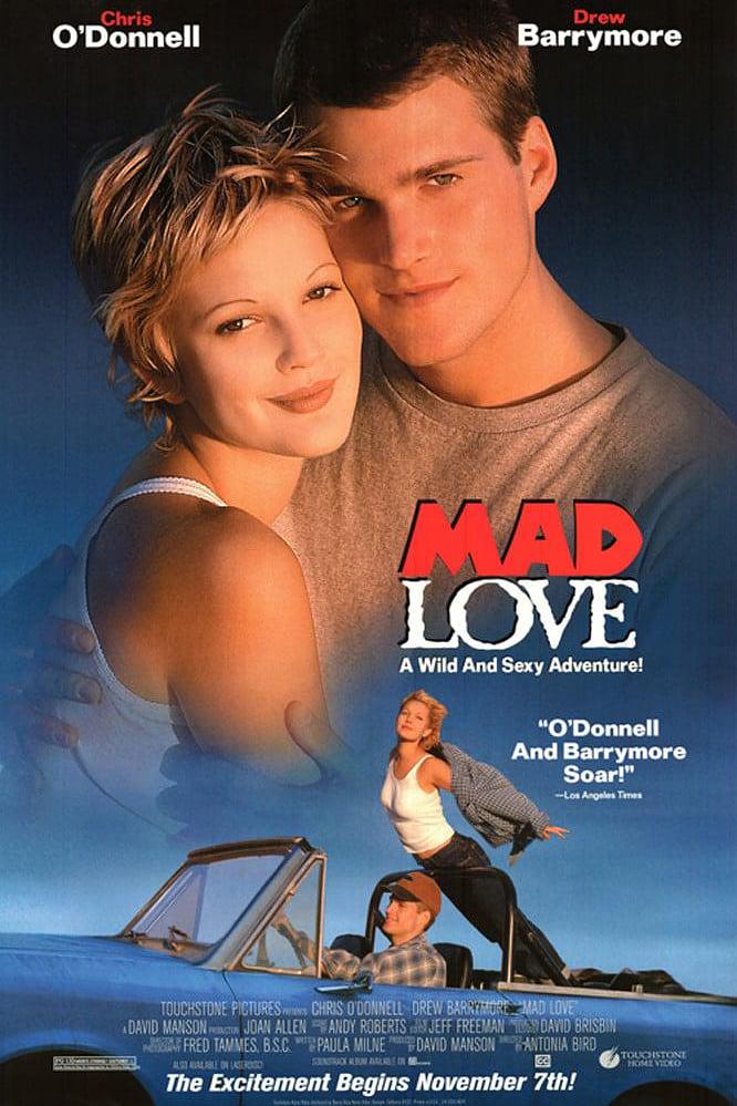 爱你情深/狂野的爱 Mad.Love.1995.1080p.BluRay.x264-HANDJOB 7.03GB-1.png