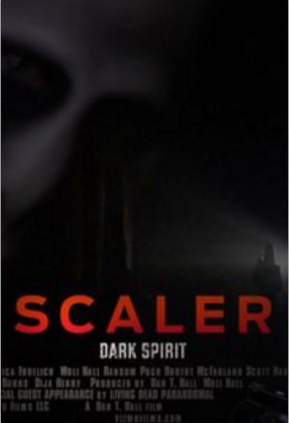 斯科勒黑暗的灵魂 Scaler.Dark.Spirit.2016.1080p.WEBRip.x264-RARBG 1.49GB-1.png
