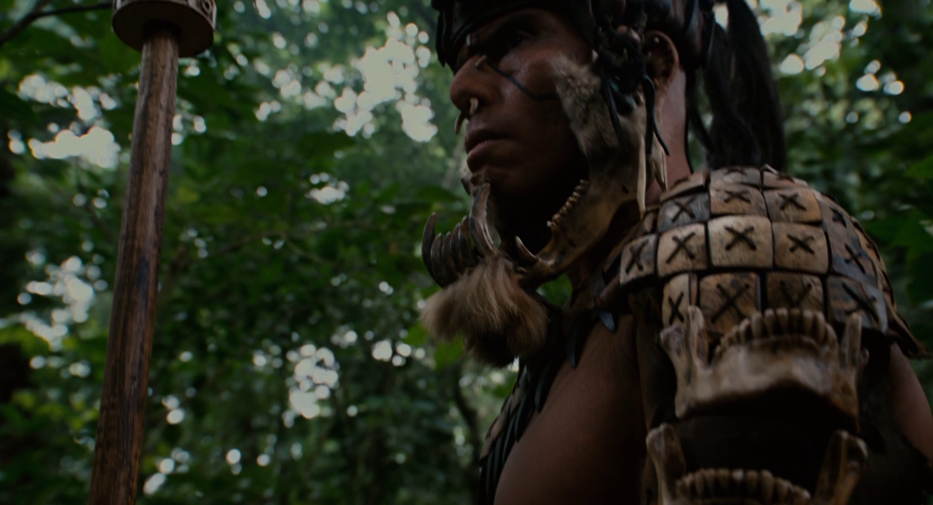 启迪/启迪录 Apocalypto.2006.1080p.BluRay.x264.DTS-FGT 12.29GB-6.jpg