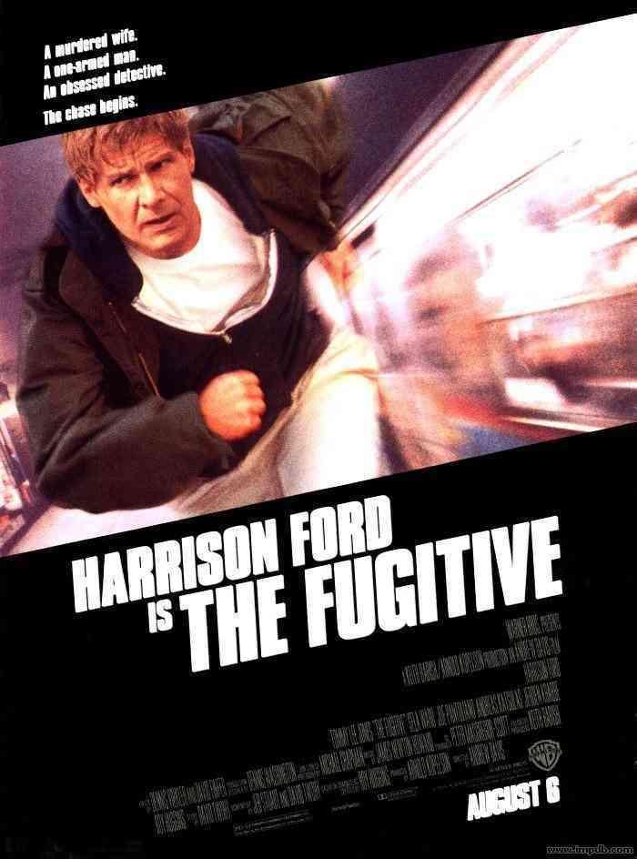 亡命天涯/穷途末路 The.Fugitive.1993.1080p.BluRay.x264.DTS-FGT 12.09GB-1.jpg